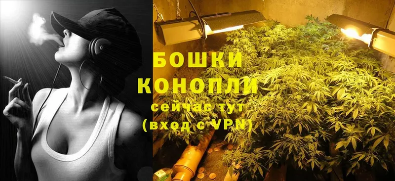 купить  сайты  Гремячинск  Марихуана THC 21% 